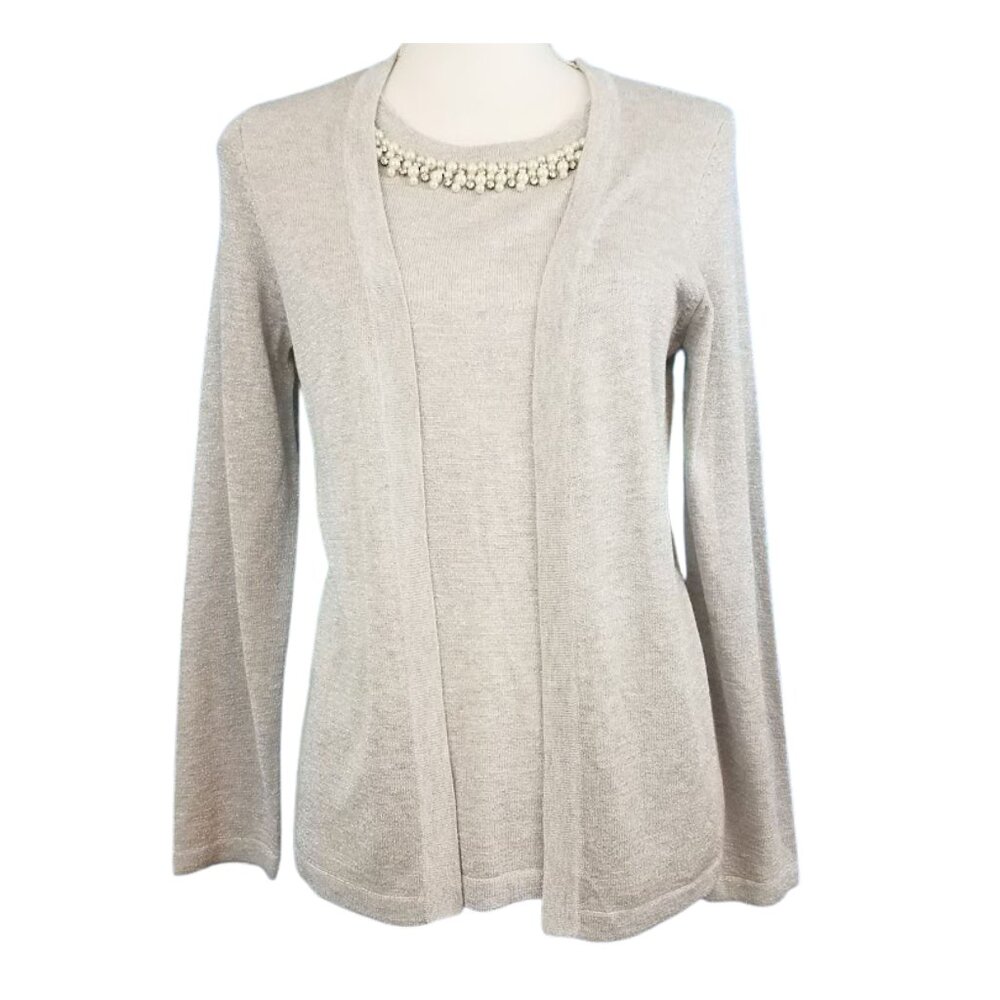 NOTATIONS Silver Metallic Pullover Sweater Blouse - Women's PM
